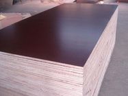 Flexibility WBP Glue Oversized Plywood Sheets / Poplar Core Plywood Project Panel