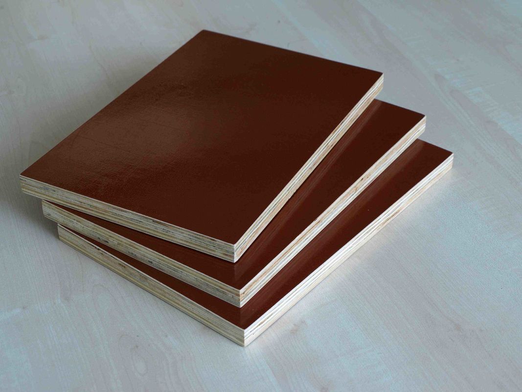 Flexibility WBP Glue Oversized Plywood Sheets / Poplar Core Plywood Project Panel